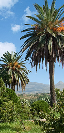 on-Sicily - Casa del Monsu - Balestrate, Sicily